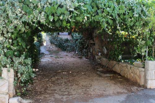 Apartment Mudri Dolac 4042a