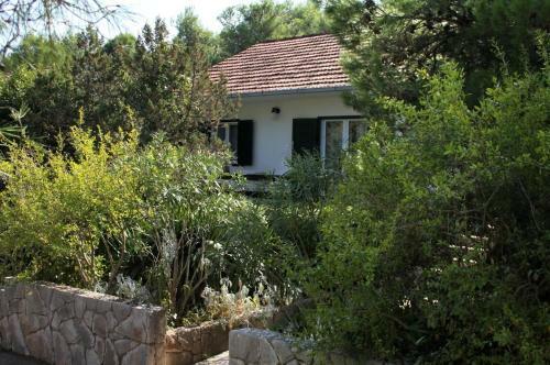 Apartment Mudri Dolac 4042a