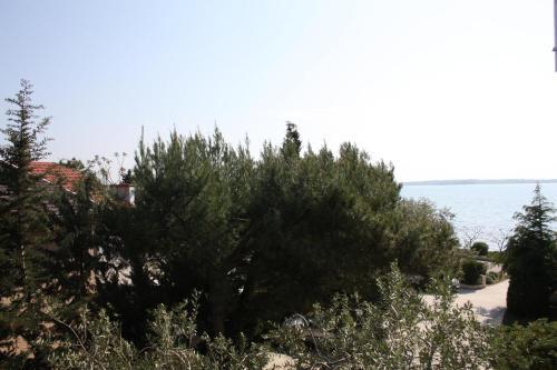 Family Friendly Seaside Apartments Vrsi - Mulo (zadar) - 6155