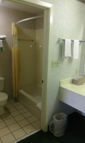 Hotel Days Inn San Antonio Alamo/riverwalk