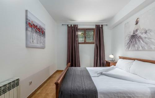 Hostal Apartments Rakovac