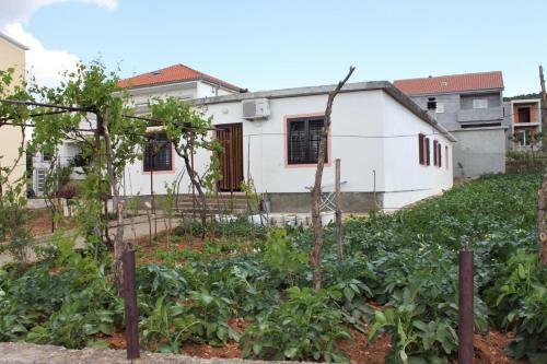 Apartments By The Sea Posedarje (novigrad) - 6240