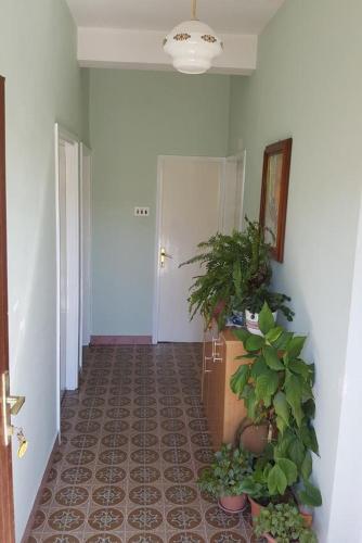 Apartments By The Sea Posedarje (novigrad) - 12402