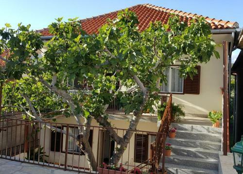 Apartments By The Sea Posedarje (novigrad) - 12402