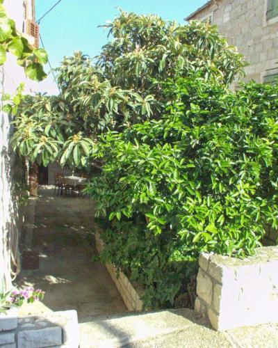 Apartamentos Studio Postira 9241a