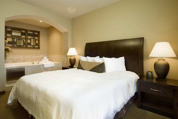 Hotel Hilton Garden Inn Downtown Sal