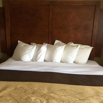 Hotel Comfort Inn & Suites