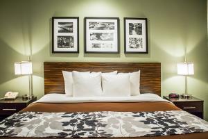 Hotel Sleep Inn Summersville
