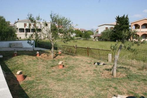 Apartment Povljana 229c