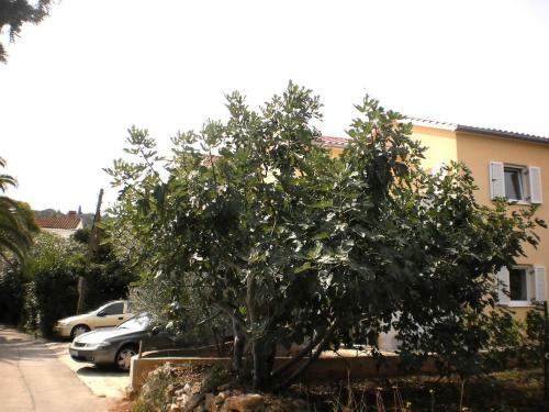 Holiday Home Daira.1
