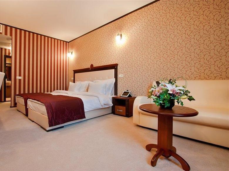 Best Western Plus Bristol Hote