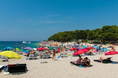 Apartment Zorana