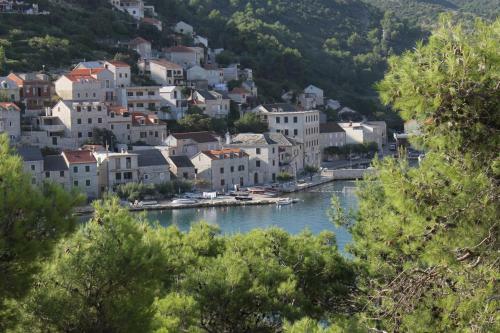 Seaside Apartments With A Swimming Pool Pucisca (brac) - 5637