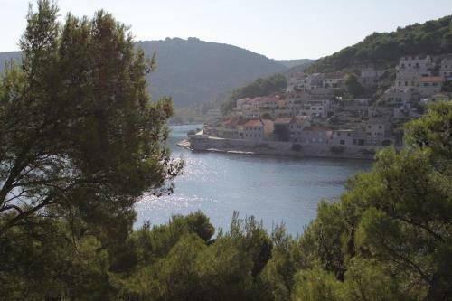 Seaside Apartments With A Swimming Pool Pucisca (brac) - 5637