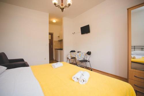 Seaside Apartments With A Swimming Pool Pucisca (brac) - 5637