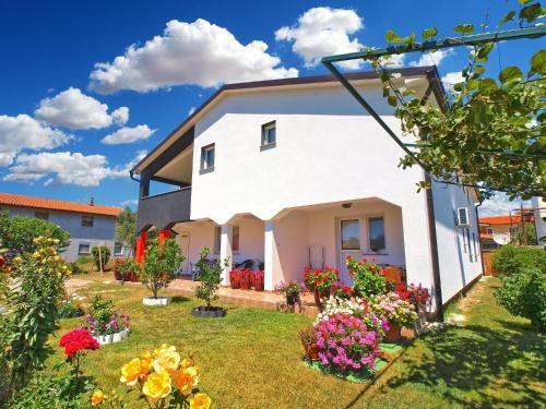 Apartment Darko 1439