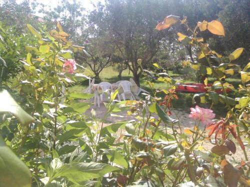 Apartment Banjol 15463b
