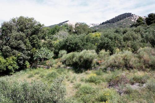 Apartments With A Parking Space Barbat (rab) - 4988