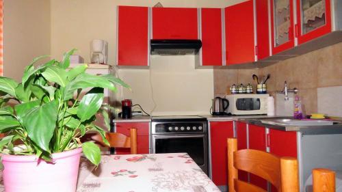 Apartments With A Parking Space Barbat (rab) - 4988