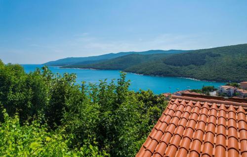 Apartment In Rabac 16743