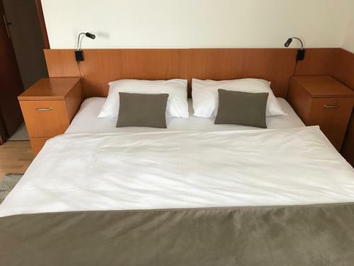 Hostal Pansion Danica