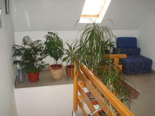 Hostal Guest House Ljubica