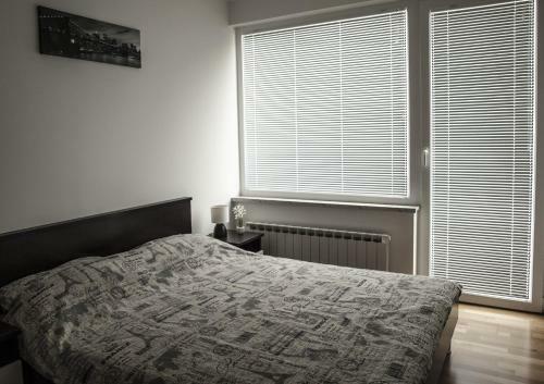 Apartment In Rijeka 34542