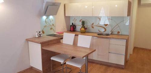 Apartamentos Studio Rijeka 15901b