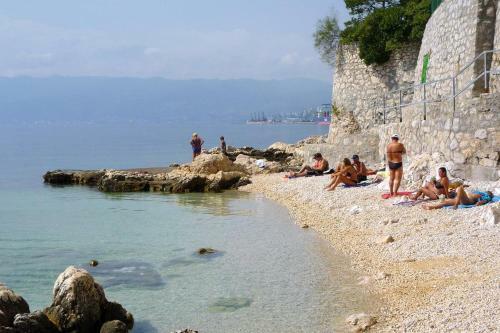 Apartments With Wifi Rijeka - 13261