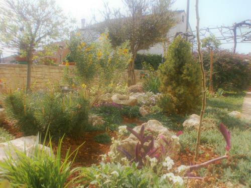 Apartments Jasmina