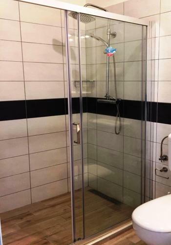 Goga Mare Apartment