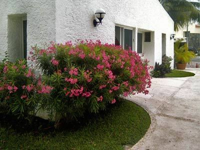 Hotel Las Gaviotas Suites Canc�n