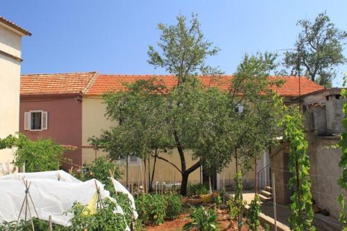 Apartment Sali 8109b