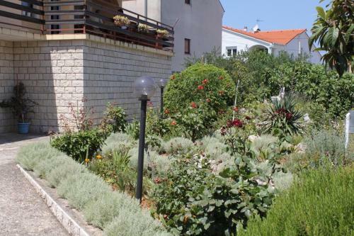 Apartments With A Parking Space Sali (dugi Otok) - 872