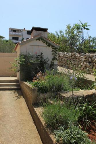 Apartments By The Sea Sali (Dugi Otok) - 8121