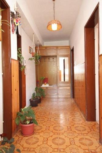 Apartments By The Sea Sali (dugi Otok) - 8174