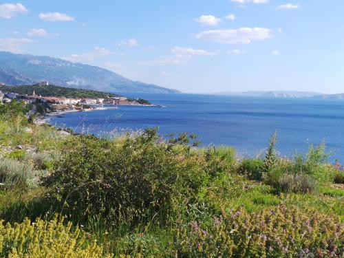 Apartment In Senj 27782