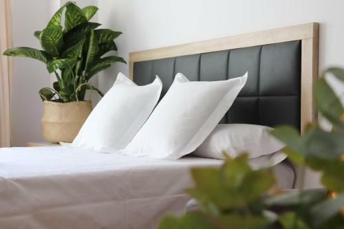 Apartamento Celta Home