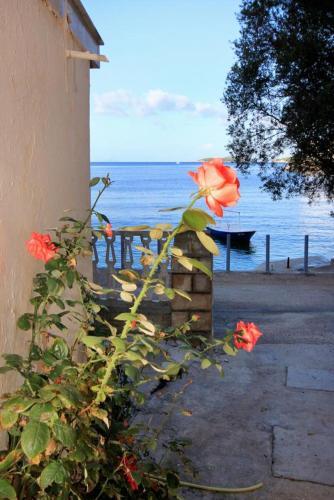 Apartments By The Sea Brna (Korcula) - 171