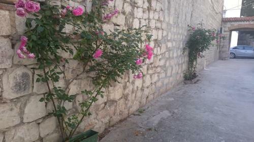 Comfortable Apartment Basa