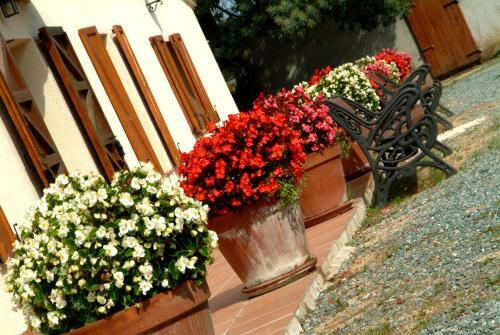 Agroturismo Allotjaments Rurals Vallplana