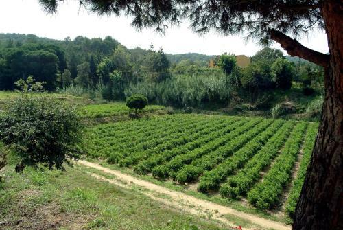 Agroturismo Allotjaments Rurals Vallplana