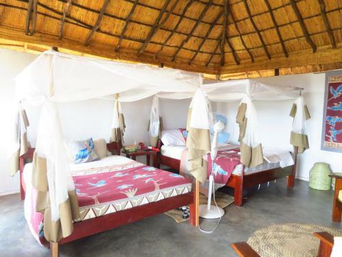 Lodge Zikomo Safari