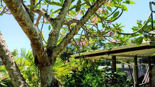 Hostal Romance Bungalows