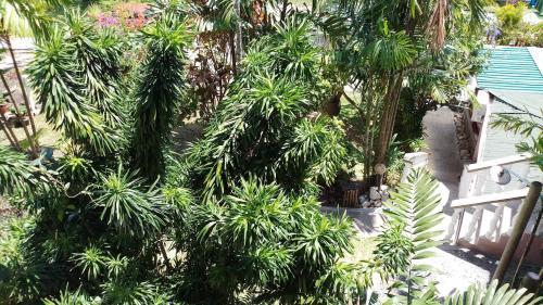 Hostal Romance Bungalows
