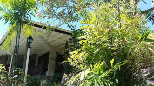 Hostal Romance Bungalows