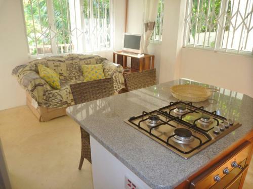 La Batie Selfcatering Apartment