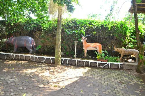 Dian Fossey Nyiramacibir Hotel