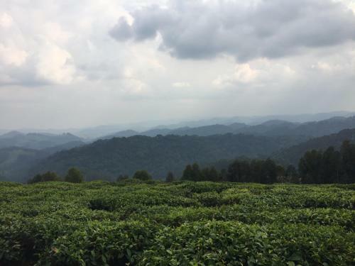 Kitabi Ecocenter