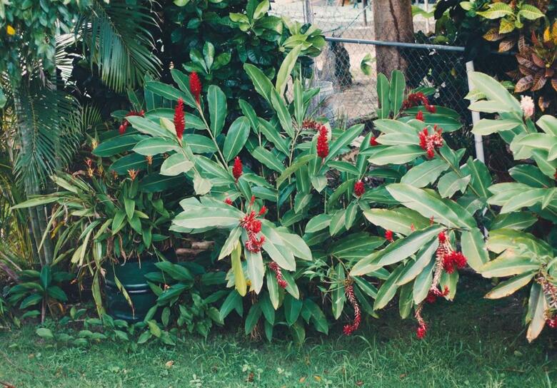 Casa Peace Haven Beach House